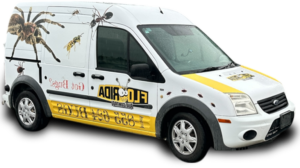 Florida Bug Control service van